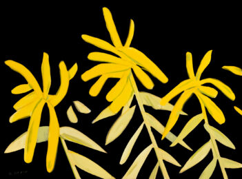 Goldenrod by Alex Katz at Maune Contemporary