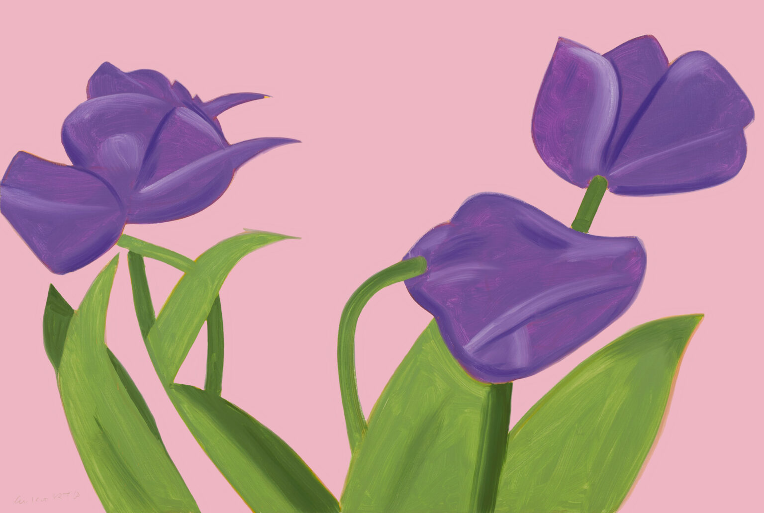 The Flowers Portfolio by Alex Katz
