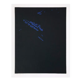 Night (from Northern Landscapes) by Alex Katz at MLTPL