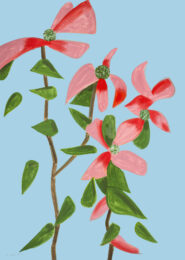 Red Dogwood 2 by Alex Katz at Maune Contemporary