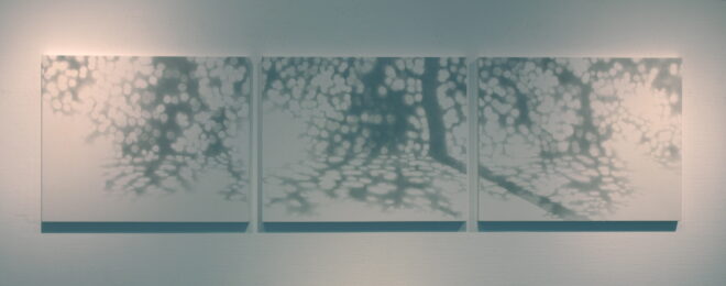 Simple Gifts by Rica Bando at ebo Gallery