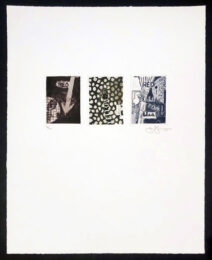 Untitled (Red, Yellow, Blue) by Jasper Johns at Michael Lisi/Contemporary Art