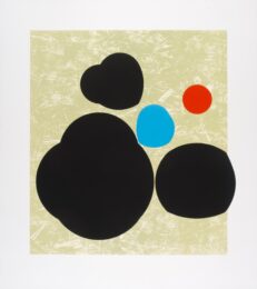 Untitled (Spotlights) A by Sarah Crowner at Highpoint Editions