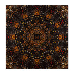 Earth (from The Elements) by Damien Hirst at MLTPL