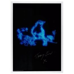 My Favourite Little Bird by Tracey Emin at Dovehouse Contemporary