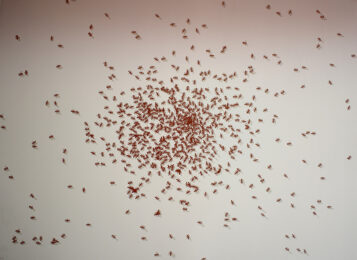 Swarm of Red Ants, from: Insects, 1972 by Ed Ruscha at Gilden's Art Gallery