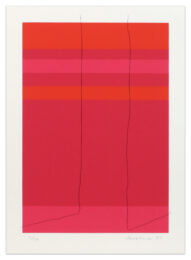 Wire, Porte Fenetre on Pink by Kate Shepherd at Krakow Witkin Gallery