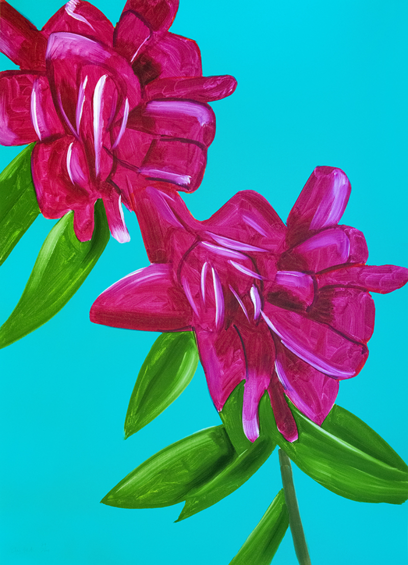 Peonies, from The Flowers Portfolio by Alex Katz