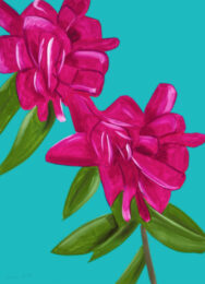 Peonies by Alex Katz at Vogtle Contemporary