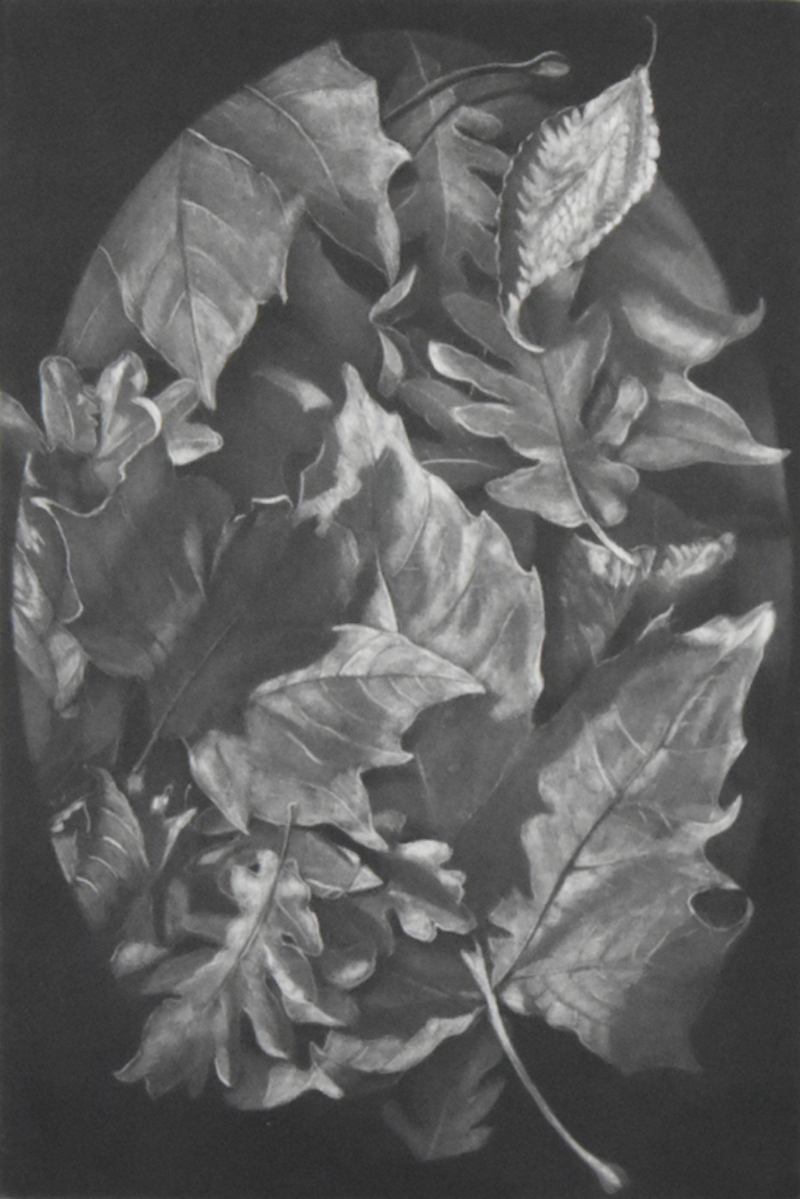 Petit tapis by Judith Rothchild