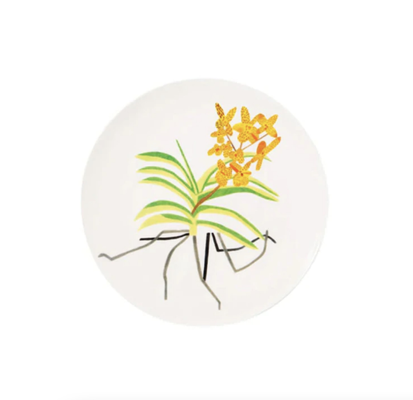 Clipping Plate by Jonas Wood