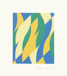 Fold by Bridget Riley at Dovehouse Contemporary
