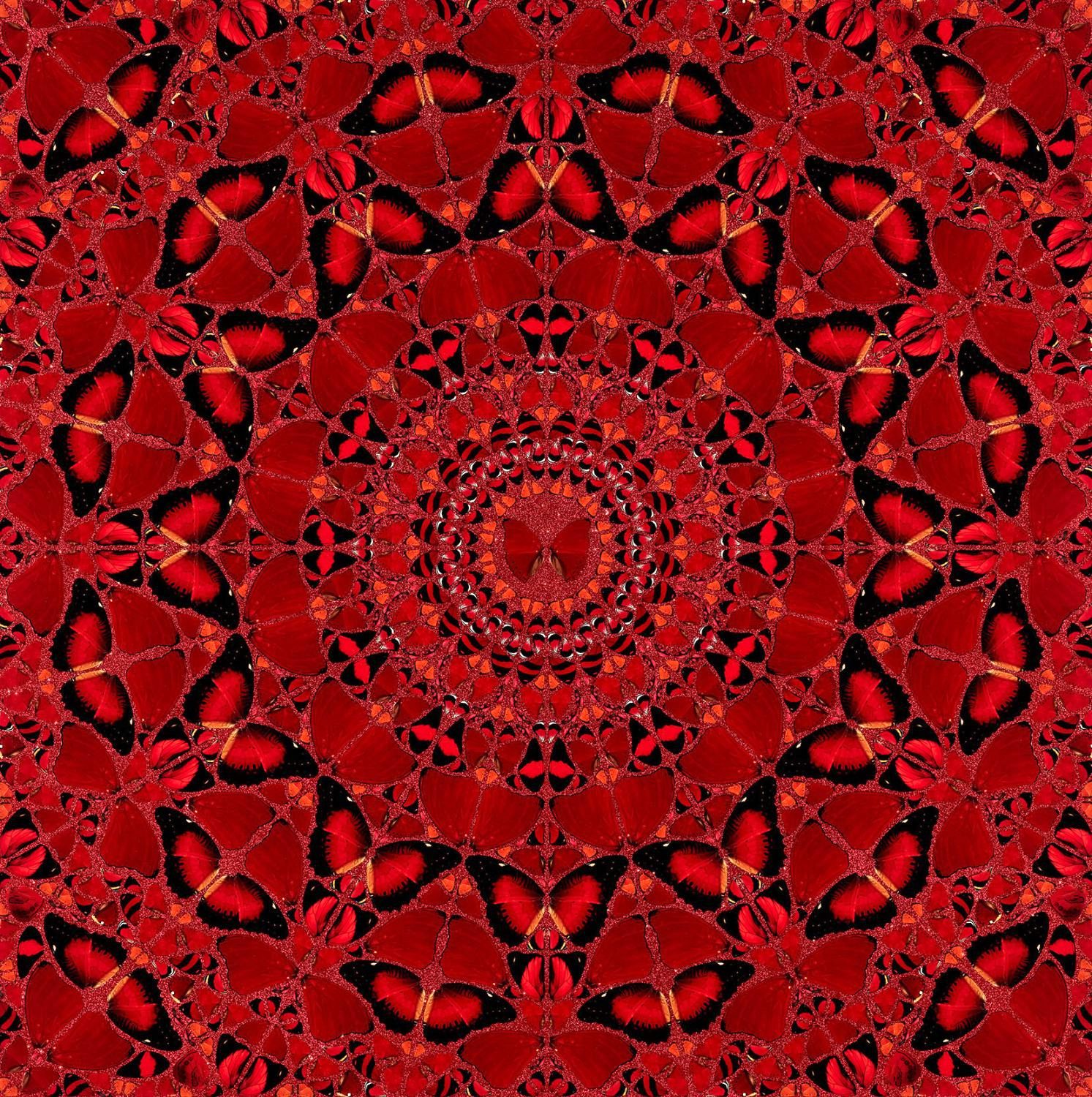 H10-4 Suiko by Damien Hirst