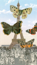 Butterflies 1 by Peter Blake at Wetpaint Gallery
