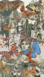 Butterflies 2 by Peter Blake at Wetpaint Gallery