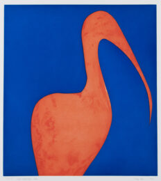 Left Gatekeeper Ibis by Rhea Edge at Manneken Press (IFPDA)