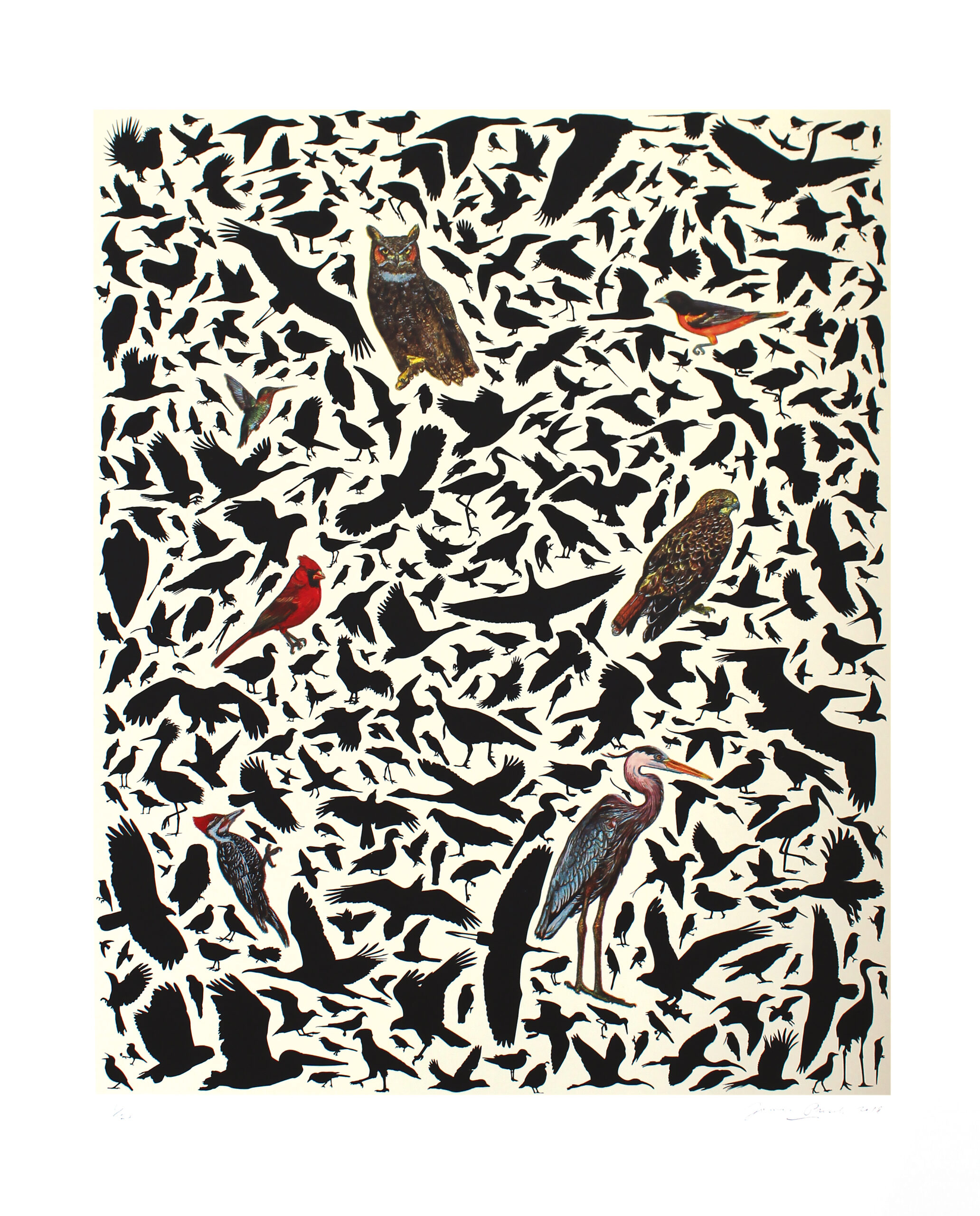 Avian Compostion by James Prosek