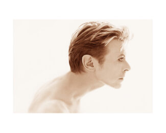 David Bowie Gold Profile by Kate Garner at Zebra One