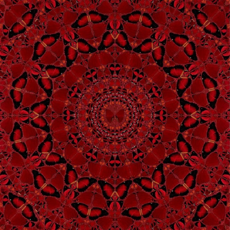 The Empresses H10-4 Suiko by Damien Hirst