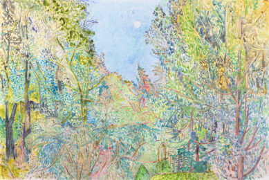 Under a Rim of Trees by Nancy Friese at Oehme Graphics