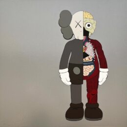 Dissected Companion (Brown) by KAWS at Hamilton-Selway Fine Art