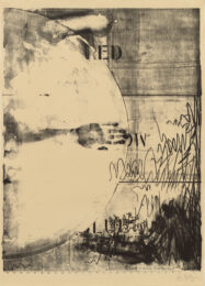 Hatteras by Jasper Johns at Susan Sheehan Gallery