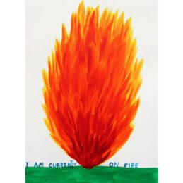 I Am Currently On Fire by David Shrigley at Dovehouse Contemporary