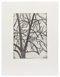 Little Squirrel by Kiki Smith at Krakow Witkin Gallery