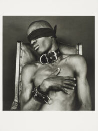Untitled (Edition, from the Circus Master Series) by Ajamu at TATE