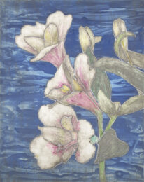 Blue Lilies by Sari Davidson at Oehme Graphics