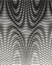 Interference 2 by Collin Parson at Oehme Graphics