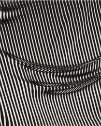 Interference 3 by Collin Parson at Oehme Graphics