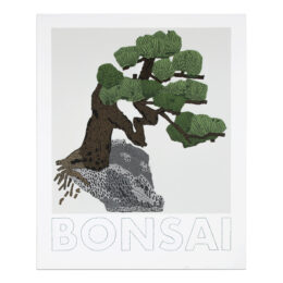 Bonsai by Jonas Wood at MLTPL