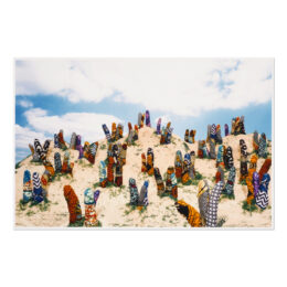 Dreamscape (for Documenta 11) by Yinka Shonibare at MLTPL