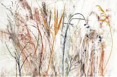 Field’s Edge 29 by Paula Zinsmeister at Oehme Graphics