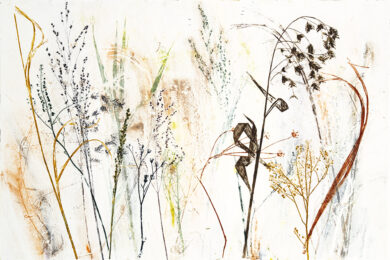 Field’s Edge 36 by Paula Zinsmeister at Oehme Graphics