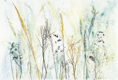 Field’s Edge 38 by Paula Zinsmeister at Oehme Graphics