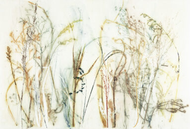 Field’s Edge 41 by Paula Zinsmeister at Oehme Graphics