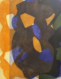 Peeled Oranges 15 by Julie Shapiro at VanDeb Editions