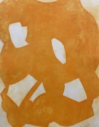 Peeled Oranges 22 by Julie Shapiro at VanDeb Editions