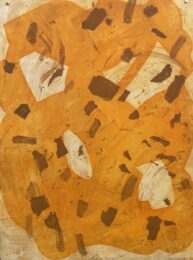 Peeled Oranges 23 by Julie Shapiro at VanDeb Editions