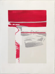 Silver and Salt by Jill Moser at Jungle Press Editions