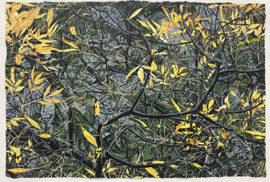 Thicket by Jean Gumpper at ebo Gallery