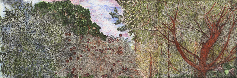 Among Trees by Nancy Friese at Oehme Graphics