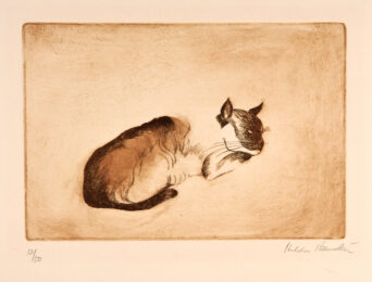 Cat resting by Hilda Bernstein at Editions Graphiques Ltd