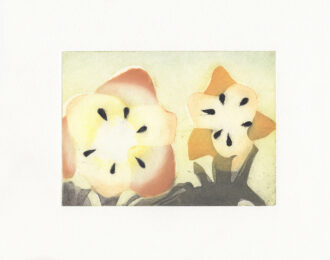 Day Room by Katherine Jones at Aspinwall Editions