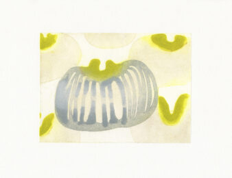 Honey Petal by Katherine Jones at Aspinwall Editions