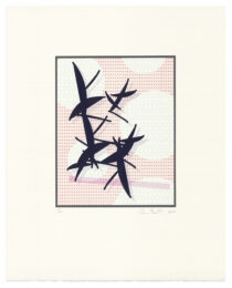 Hover by Cameron Martin at Tandem Press (IFPDA)