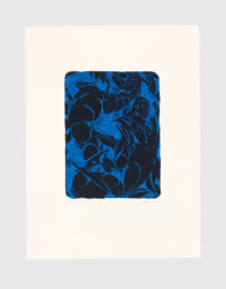 Midnight Voices 2 by Tunji Adeniyi-Jones at Jungle Press Editions