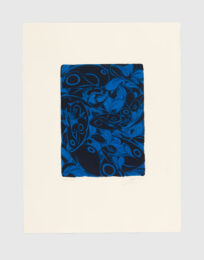 Midnight Voices 3 by Tunji Adeniyi-Jones at Jungle Press Editions